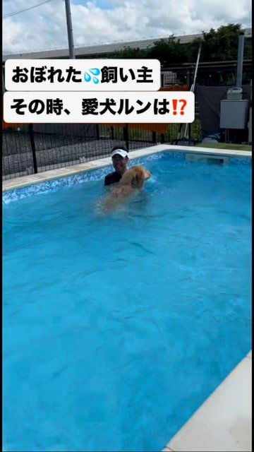 プールで飼い主とハグする犬