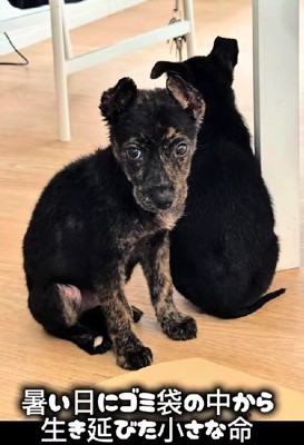 レスキューされてからも…