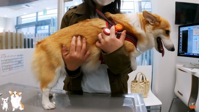 安堵するつむぎちゃん