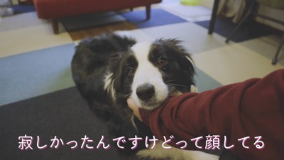 彼女のように甘えん坊に♡
