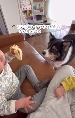 「これはレアちゃんの分」