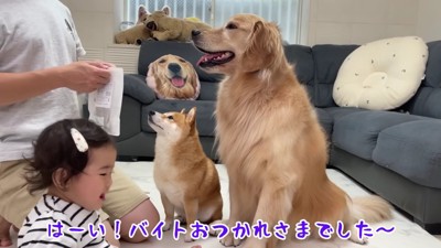 アルバイトの報酬はおやつ♡