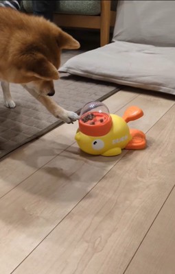 オヤツが出るおもちゃで遊ぶすずちゃん⑩