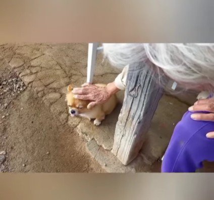 「かわいいねえ」