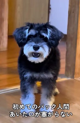 「騙されないぞ!!」