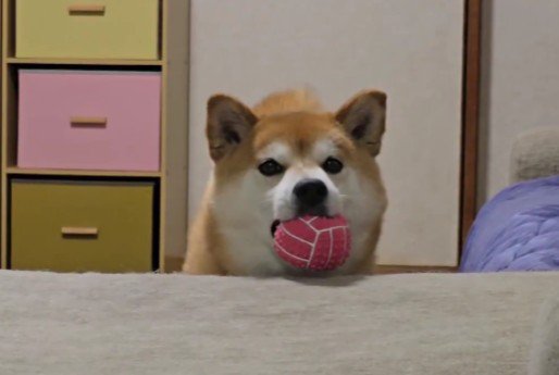 「遊ぼう!」