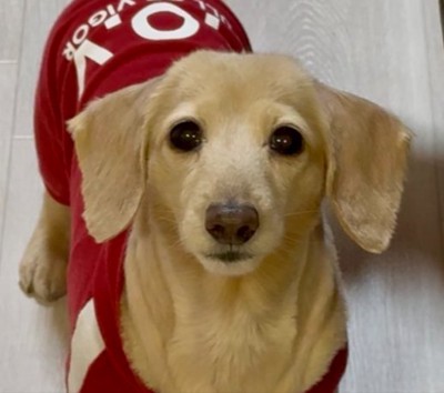 まさかの角刈り…