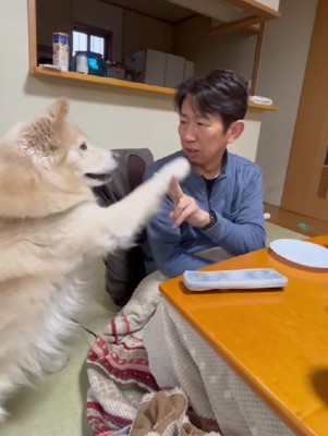 前足が指の間にフィット！！