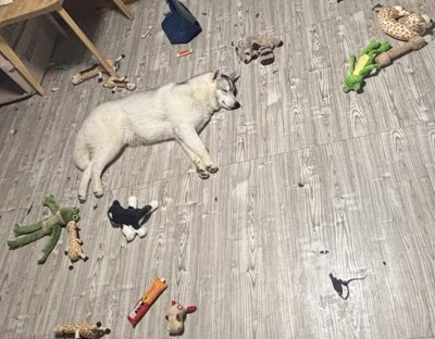 豪快なイタズラ