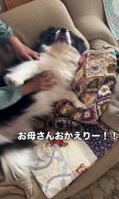 マリちゃんの熱烈歓迎4