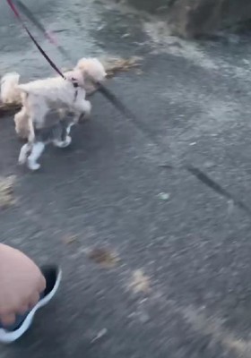 まるで家族みたい！！