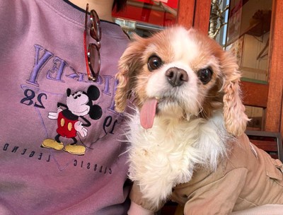 投稿主さんといつも一緒♡