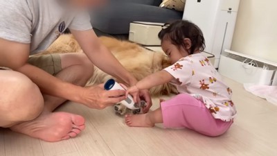 お手伝いするほのちゃん