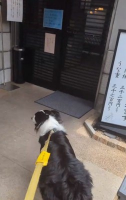 目的地に到着したジッピーくん