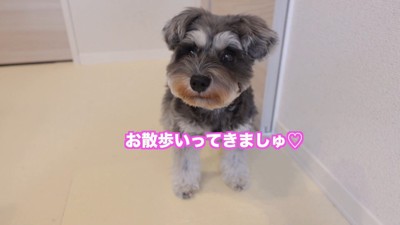 お散歩がてら、お迎えに行きます♪