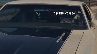 大満足のおもちちゃんでした♡