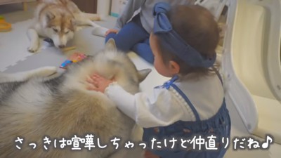 仲直りしたもんちゃんと娘さん