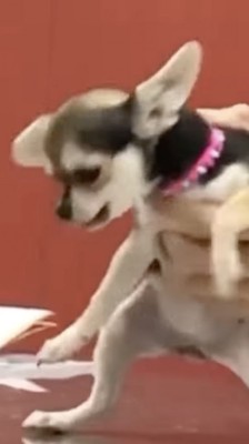 お漏らししちゃいました