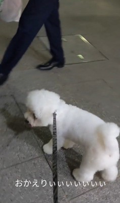 パパさんのお迎えに来たふう太くん8