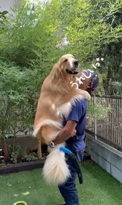 そら君と植木屋さんのふれあい⑩