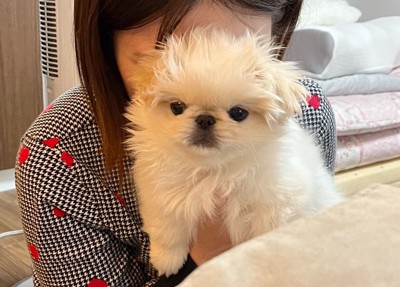 吸われる