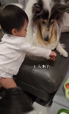 ガムを奪う赤ちゃん