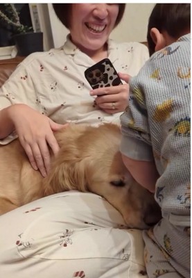 大型犬の顔の前に後ろ姿の子供