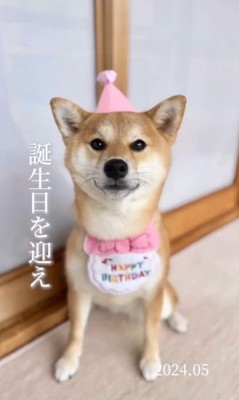 クルミちゃんの1年間の写真8