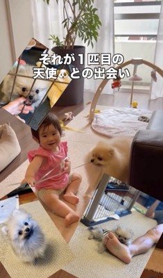 命名「たぬ彦」くん