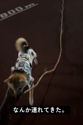 一生懸命運び続けています