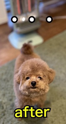 カットも独特…!