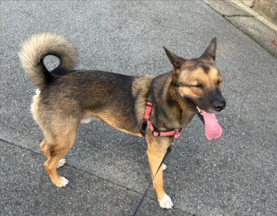 言い返さないの?