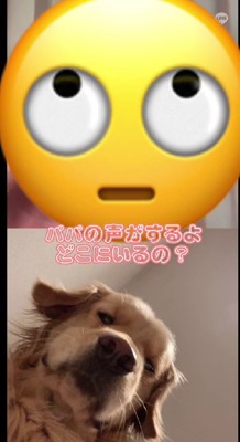 テレビ電話をして切ない表情