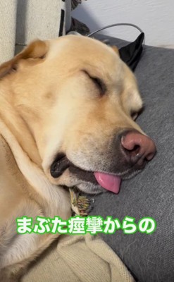 瞼をプルプル震わせて…