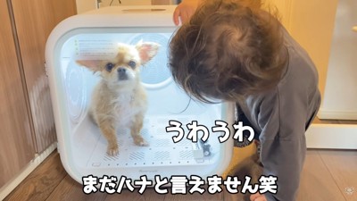 ハナちゃんを応援！