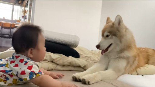 茶々丸くんと赤ちゃん