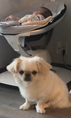 いつも赤ちゃんのそばに!