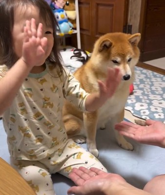 手遊びを見るすずちゃん2