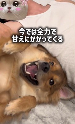 ラッキーくんの変化4