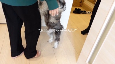 飛びついて熱烈大歓迎!
