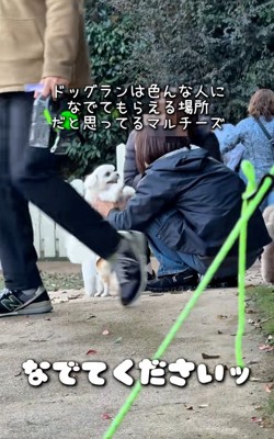 撫でられて笑顔のおもちくん