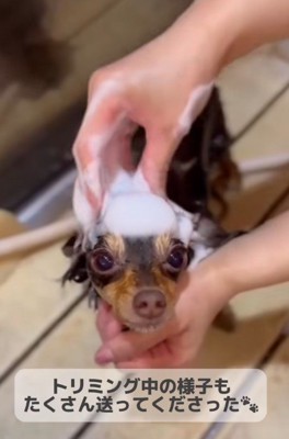 シャンプー中も愛が止まらない