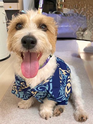 ともの投稿画像