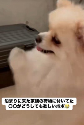 ドコモダケが気に入ったようです♪