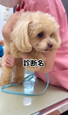 下された診断結果は…