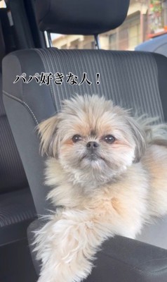 こんぶちゃんにパパとママを好きか聞いたら6