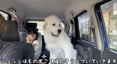 ろのちゃんが好きすぎて