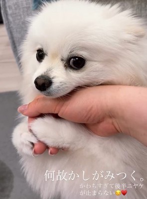 「これでおしまいね?」