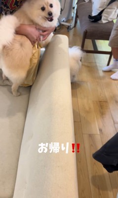 お兄ちゃんが帰宅時のエマくん&ハルくん5