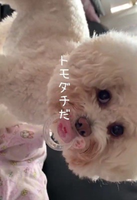 一緒に育ってきたふたり